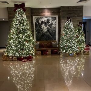 Meet your Posher, Joni